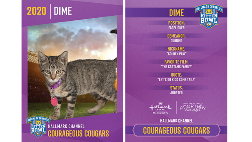 Courageous Cougars - Dime - Player Profiles 2020 