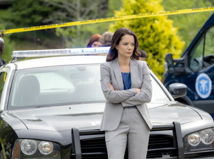 Preview + Sneak Peek - Witness to Murder: A Darrow Mystery