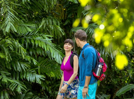 Preview - A Summer to Remember - Staycation