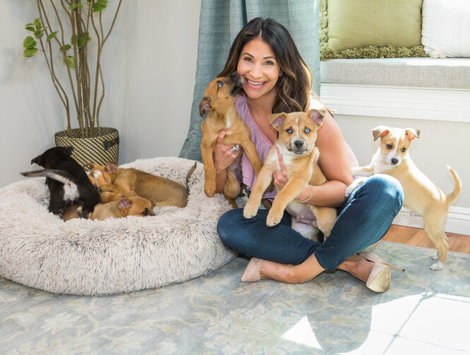 Pet Adoption Spotlight: Paw Works - Home & Family