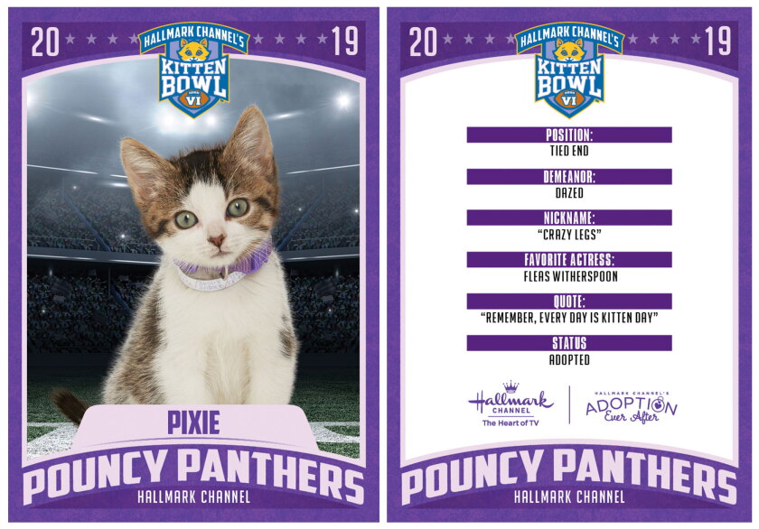 Kitten Bowl Trading Cards - Pouncy Panthers - Pixie - 4