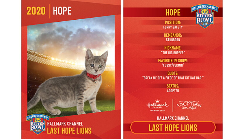 Last Hope Lions - Hope - Player Profiles 2020 