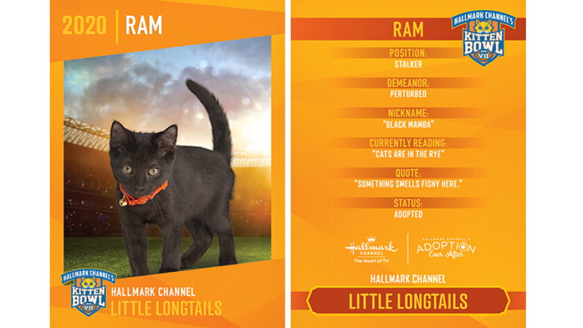 Little Longtails - Ram - Player Profiles 2020 