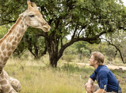 Interviews - Encountering wildlife - Love on Safari