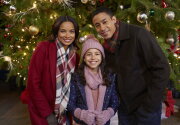 Preview + Sneak Peek - A Christmas Tree Grows in Colorado