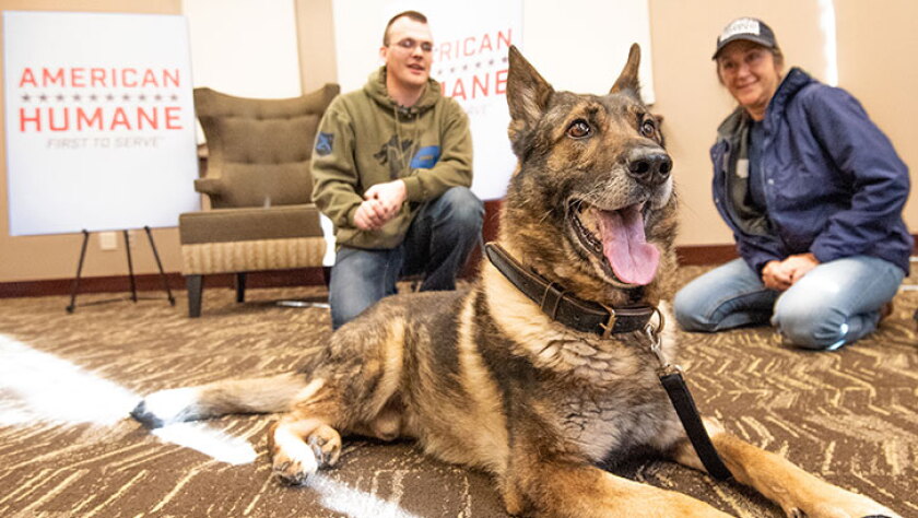 Service Dog Reunification - Greatest Friend