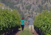 On Location - Summer in the Vineyard