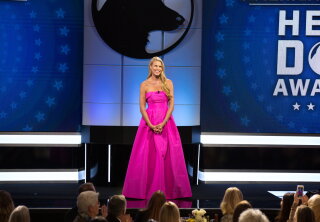 Preview - 2018 American Humane Hero Dog Awards