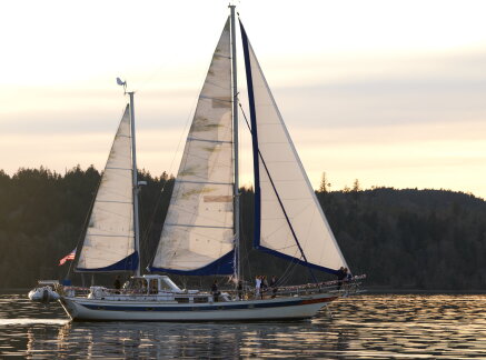 Preview + Sneak Peek - Sailing Into Love