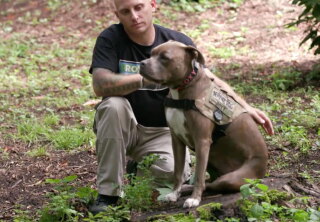 Roxy - Service Dog - Hero Dog Awards 2018