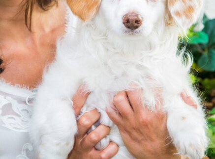 Ellie - Adoption Ever After - Home & Family