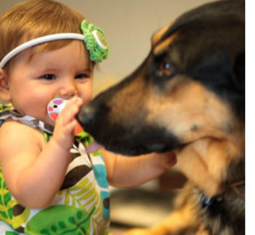 Law Enforcement/Arson Dogs