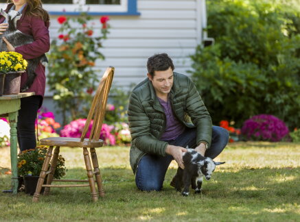 Brennan on the Sequel - All of My Heart: Inn Love