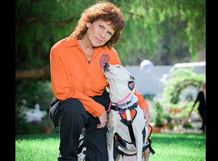 Piglet - Search & Rescue - Hero Dog Awards 2019