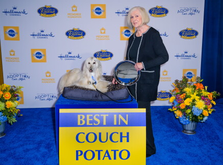 Highlights - Best in Coach Potato - American Dog Rescue Show 2020