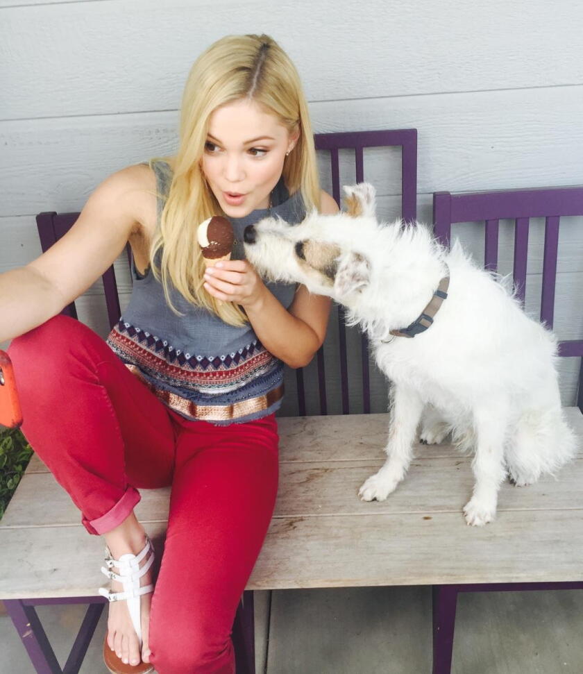 Happy the Dog and Olivia Holt - 4