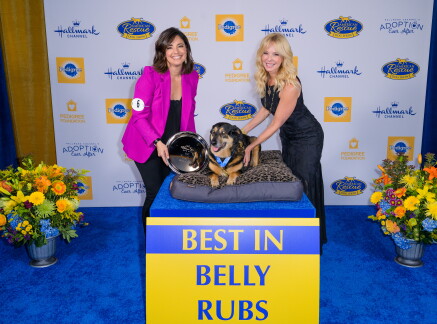 Highlights - Best in Belly Rubs - American Dog Rescue Show 2020