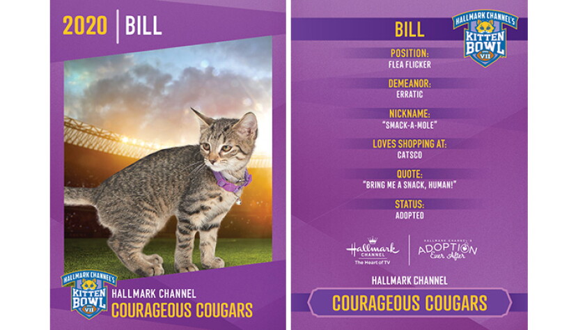 Courageous Cougars - Bill - Player Profiles 2020 