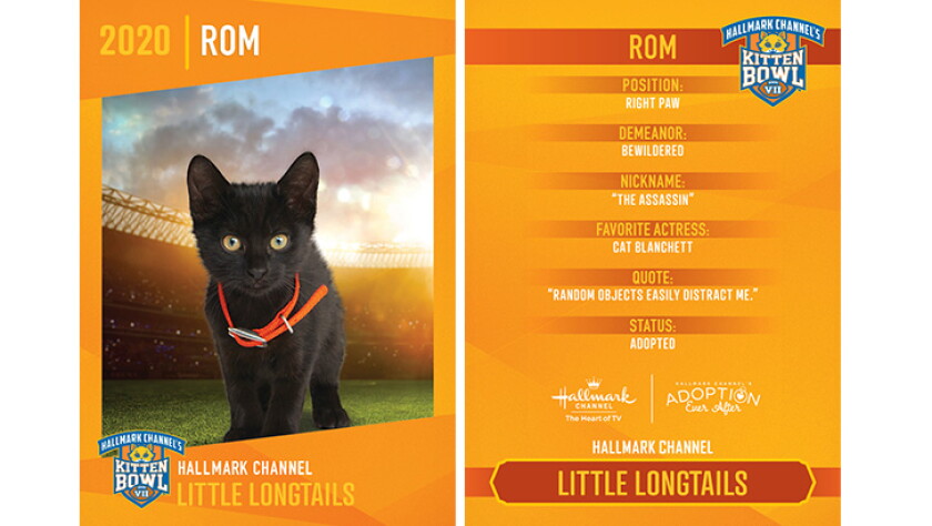 Little Longtails - Rom - Player Profiles 2020 