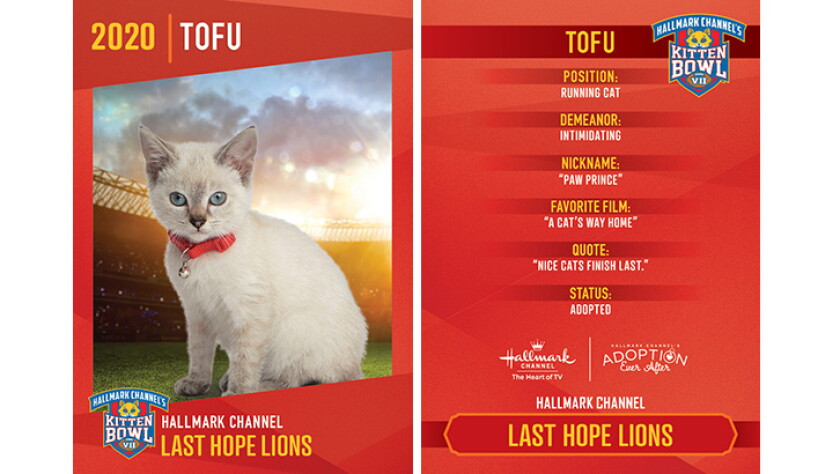 Last Hope Lions - Tofu - Player Profiles 2020 
