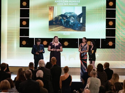 2019 Hero Dog Winner - Hero Dog Awards 2019