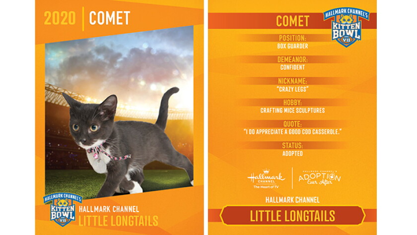 Little Longtails - Comet - Player Profiles 2020 