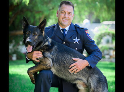 Dax - Law Enforcement/Arson Dog - Hero Dog Awards 2019