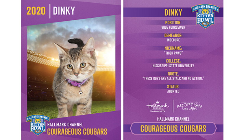 Courageous Cougars - Dinky - Player Profiles 2020 