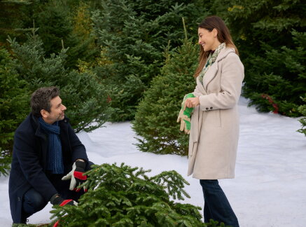 Preview - A Dance in the Snow