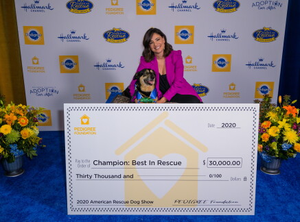 Highlights - Winner Crowned - American Dog Rescue Show 2020