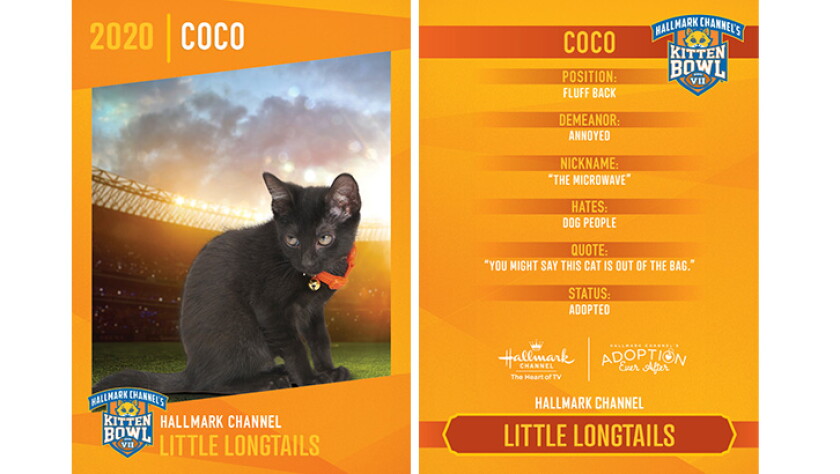 Little Longtails - Coco - Player Profiles 2020 