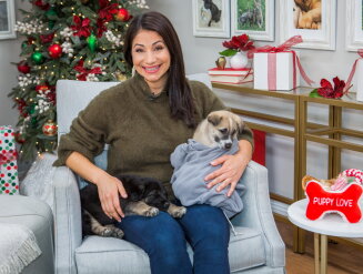 Pet Adoption – Cleopatra & King - Home & Family