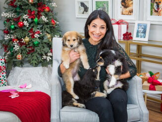 Pet Adoption - Lucy, Linus & Charlie - Home & Family
