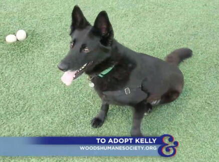 Kelly - Adoption Ever After - Home & Family