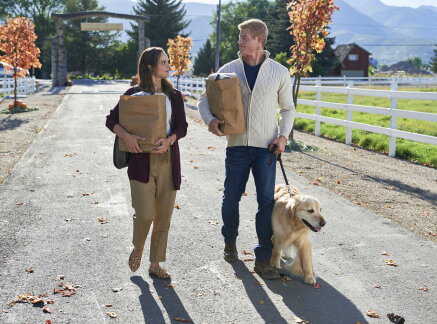 Preview - Love, Fall & Order